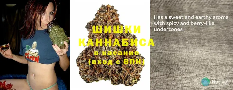 Каннабис SATIVA & INDICA  Нариманов 